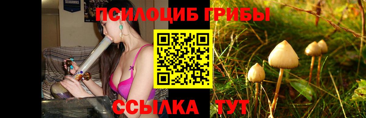 Галлюциногенные грибы прущие грибы Энгельс