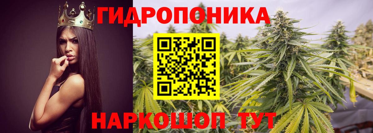 Бошки марихуана Ganja Энгельс
